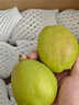 京鲜生 新疆特级库尔勒香梨 净重5斤单果120g以上 生鲜水果 实拍图