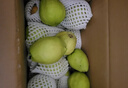 京鲜生 新疆库尔勒香梨 净重10斤 一级 单果100-120g 生鲜水果 实拍图