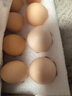 京鲜生柴鸡蛋30枚 3斤 无抗生素 谷物喂养鲜鸡蛋 源头直发 实拍图