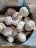 【百万单爆品】紫白皮蒜水果大蒜超市生鲜蔬菜调料即食蒜 【优选】 1斤 单果3.5-5cm 实拍图