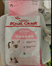 皇家宠物猫粮 幼猫猫粮K36-适用于12月龄50g*3 实拍图