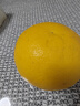 正宗2025年新品黄金葡萄柚爆汁切块吃新鲜应季水果现货 带箱1斤装 实拍图