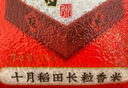 十月稻田 2025年新米 长粒香大米 20斤（东北大米 香米 10公斤） 实拍图