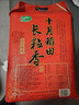 十月稻田 2025年新米 长粒香大米 10斤（东北大米 香米 5公斤/十斤） 实拍图