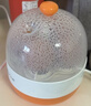 小熊（Bear）煮蛋器蒸蛋器单层家用自动断电迷你早餐神器鸡蛋羹蒸鸡蛋器蒸蛋机炖蛋器蒸蛋锅防干烧便携式电蒸锅 单层 实拍图