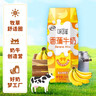 伊利味可滋香蕉牛奶240ml*12盒  营养早餐搭档 礼盒装 10月产 实拍图