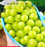 阳光玫瑰葡萄晴王青提香水提子山西新鲜水果一斤也是批发价 带箱5斤大果【单果克重10g-20g】（净重约4.5斤） 实拍图
