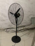 先锋（SINGFUN）工业风扇电风扇大风力落地扇强力牛角扇大功率吹除甲醛壁扇大风扇工厂车间饭店商用摇头风扇  500落地扇-塑钢叶【多仓发货】加粗网 实拍图