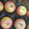 正宗山东红富士苹果丑苹果新鲜水果当季脆甜冰糖心苹果嘎啦果 净重3斤70mm+ 实拍图