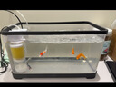 阔庭（KUOTING）鱼缸懒人鱼缸家用客厅办公室水培吊篮金鱼缸过滤鱼缸黑色款 实拍图
