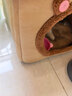 阿柴与猫封闭式猫窝大房子小型犬狗窝睡觉猫狗屋可拆洗四季通用宠物窝 实拍图