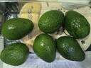 京鲜生 智利进口牛油果 大果6粒装(非即食)单果重130g起 生鲜水果 实拍图