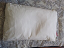 京东京造 经典荞荞枕 100%荞麦壳填充透气高度可调花草枕头枕芯单只装 实拍图