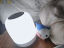 美的（Midea）床头灯卧室柔光小夜灯充电台灯三色调光节日创意礼品礼物起夜灯 实拍图