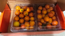 京鲜生 广西脆蜜金柑 2斤装 单果12g+ 生鲜水果 源头直发包邮 实拍图