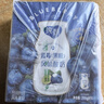 蒙牛纯甄蓝莓果粒风味酸奶200g*10盒 送礼盒装 实拍图