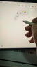 Apple/苹果 Pencil Pro 磁吸触控笔手写笔苹果笔电容笔书写绘画ipad笔 适用于iPad Pro/Air/mini机型 实拍图