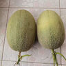 京鲜生 海南哈密瓜西州蜜 净重4.5-5斤 1-2粒装 单果2斤起 源头直发包邮 晒单实拍图