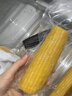 十月稻田 四平黄甜糯玉米 8根 3.52斤 东北黏玉米棒 真空包装 非转基因 实拍图