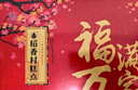 稻香村糕点京八件2000g4斤装地方特产 休闲零食 年货礼盒 送礼福满万家 实拍图