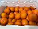 京鲜生 正宗广西砂糖橘礼盒净重4.5斤 单果35-55mm年货礼盒源头直发包邮 实拍图