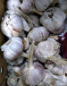 紫白皮蒜水果大蒜超市即食生鲜蔬菜大蒜 [活动]8头 200g 单果3.5-5cm 实拍图