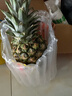 佳农 菲律宾进口菠萝 2个装 凤梨 单果净重2斤 生鲜水果源头直发 包邮 实拍图