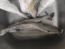 禧美海产 阿拉斯加狭鳕鱼净重4斤 去头去脏整条 6-10条装 深海鳕鱼明太鱼 实拍图