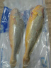 三都港 冷冻黄花鱼700g/2条装 宁德大黄鱼 深海鱼 生鲜鱼类 海鲜 年货 实拍图