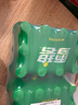 可口可乐（Coca-Cola）檀健次代言 雪碧 Sprite柠檬味汽水碳酸饮料300ml*24瓶 整箱装 实拍图