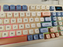 狼途（Langtu）L98星海98键 有线静音键盘 Gasket结构 RGB灯效 人体工学 实拍图