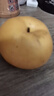 京鲜生 莱阳秋月梨冰糖梨 净重10斤 单果250g+ 生鲜水果家庭装 实拍图