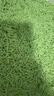 宠幸  升级2mm绿茶豆腐猫砂2.7kg*4 纯豆腐可冲厕所除臭低尘猫砂 实拍图