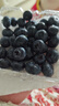 怡颗莓Driscoll's云南蓝莓Jumbo大果18mm+4盒装约125g/盒 新鲜年货水果 实拍图