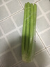 西芹1kg 实拍图