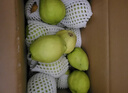 京鲜生 新疆库尔勒香梨 净重8斤 单果100-120g 生鲜水果 礼盒装 实拍图
