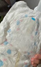 大王（GOO.N）【新升级】花信风拉拉裤XXXL24片(≥17KG)婴儿超薄透气 实拍图