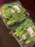 【24小时菜】富硒茼蒿200g 实拍图
