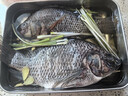 GUO LIAN国联水产 三去罗非鱼6条/4.2斤净重 非洲鲫红烧鱼源头直发年货节 实拍图