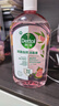 滴露（Dettol）香氛自然衣物消毒液48H留香洗衣除臭儿童可用消毒水杀菌除螨1L*2 实拍图