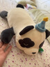 babycare婴儿玩偶安抚枕宝宝多功能哄睡抱枕侧睡靠背档枕咘咘熊猫45*23*15 实拍图