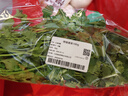 带根香菜100g 实拍图