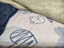 艾薇牛奶绒枕套法兰绒学生宿舍枕头套一个 清风韵律 48*74cm 实拍图