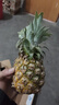 广东徐闻香水菠萝新鲜水果生鲜热带孕妇水果整箱包邮 【限时低价】1个装  单果650g起 实拍图