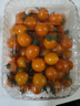 京喜加夏日阳光小番茄黄色迷恋圣女果即食水果小柿子现摘现发减肥 黄色圣女果1斤装 实拍图