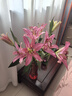 悦多彩AB级优质香水百合 家庭办公室各色生活鲜花 昆明基地 现采直发 粉色百合花10朵  ( 双头5枝) 实拍图