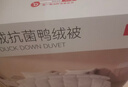 京东京造暖暖90%抗菌羽绒被 冬季被子被芯白鸭绒-子母被2*2.3m 实拍图