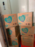 帮宝适（Pampers）清新帮拉拉裤婴儿尿不湿纸尿裤弹力裤 XL84片【清新帮拉拉裤】 实拍图