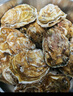 乳山牡蛎 鲜活乳山生蚝2XL 净重5斤 16-20只 生鲜海鲜年货送礼 源头直发 实拍图