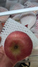 京鲜生 烟台红富士苹果 净重10斤  单果160g以上 水果礼盒 实拍图